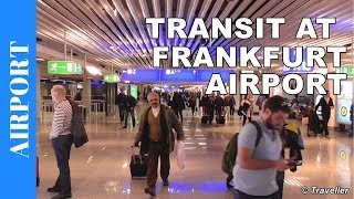 TRANSIT WALK AT FRANKFURT Airport FRA Terminal 1  Connection Flight Transfer Arriving amp Departing [upl. by Krebs609]